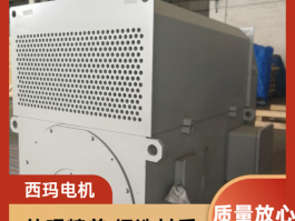 西玛电机助力新疆钢铁除尘风机高压电机 共筑未来